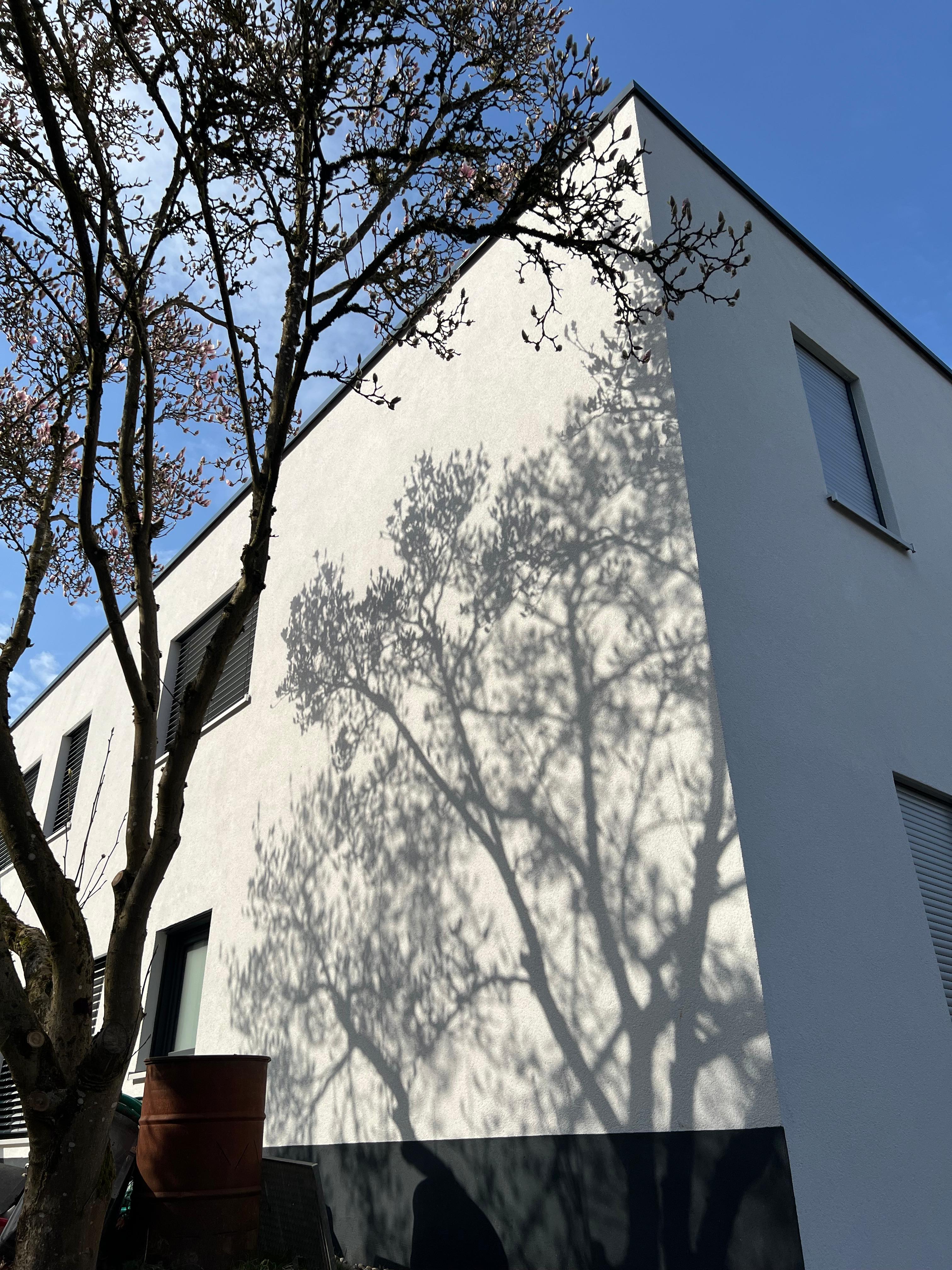 Aufstockung Wohngebäude Karlsruhe – Foto 3