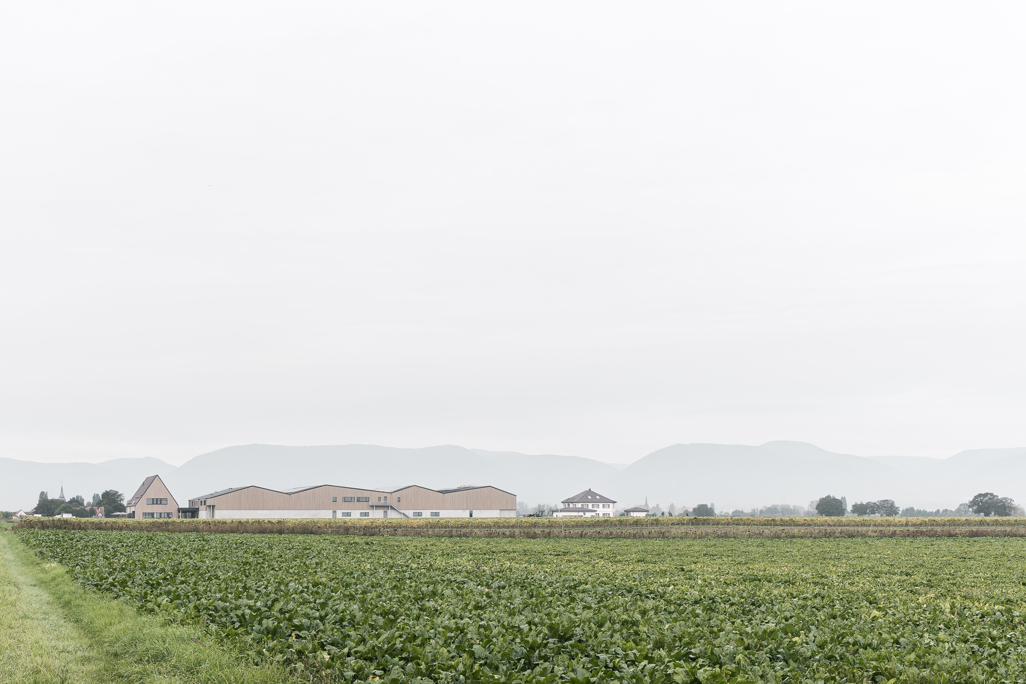 Aussiedlung Weinbaubetrieb, Kleinfischlingen – Ansicht 1