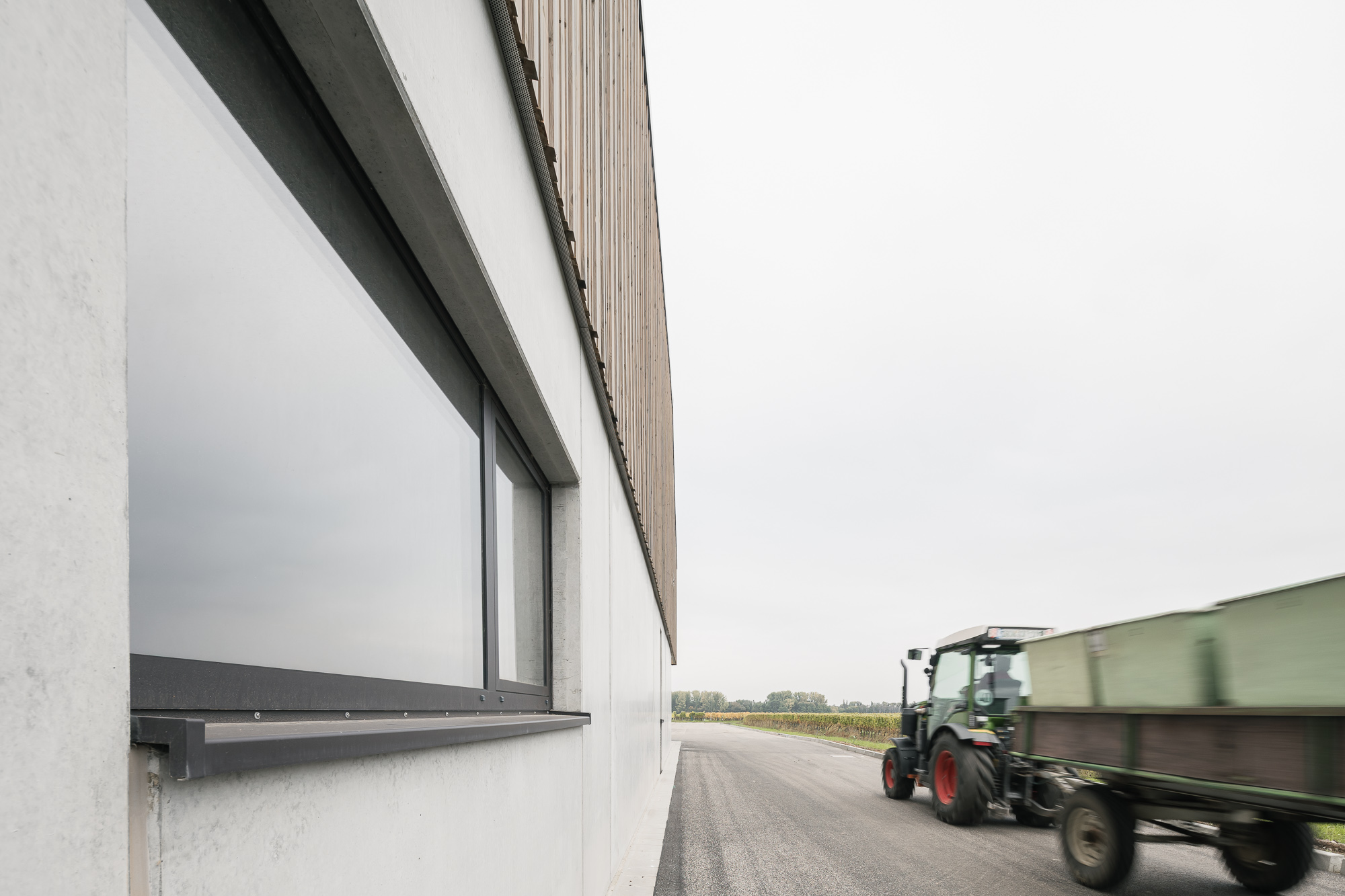 Aussiedlung Weinbaubetrieb, Kleinfischlingen – Ansicht 4