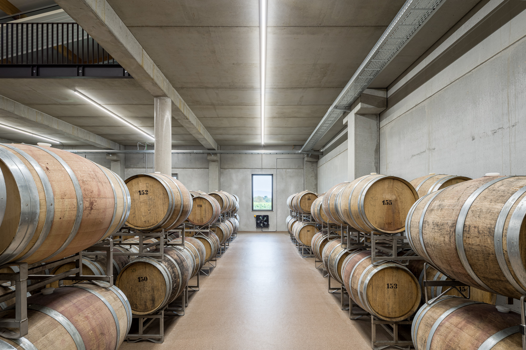 Aussiedlung Weinbaubetrieb, Kleinfischlingen – Ansicht 7