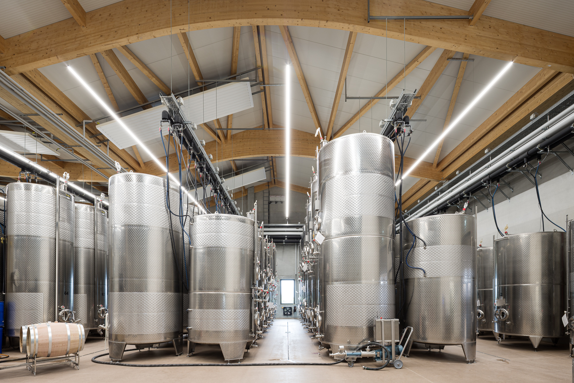 Aussiedlung Weinbaubetrieb, Kleinfischlingen – Ansicht 8