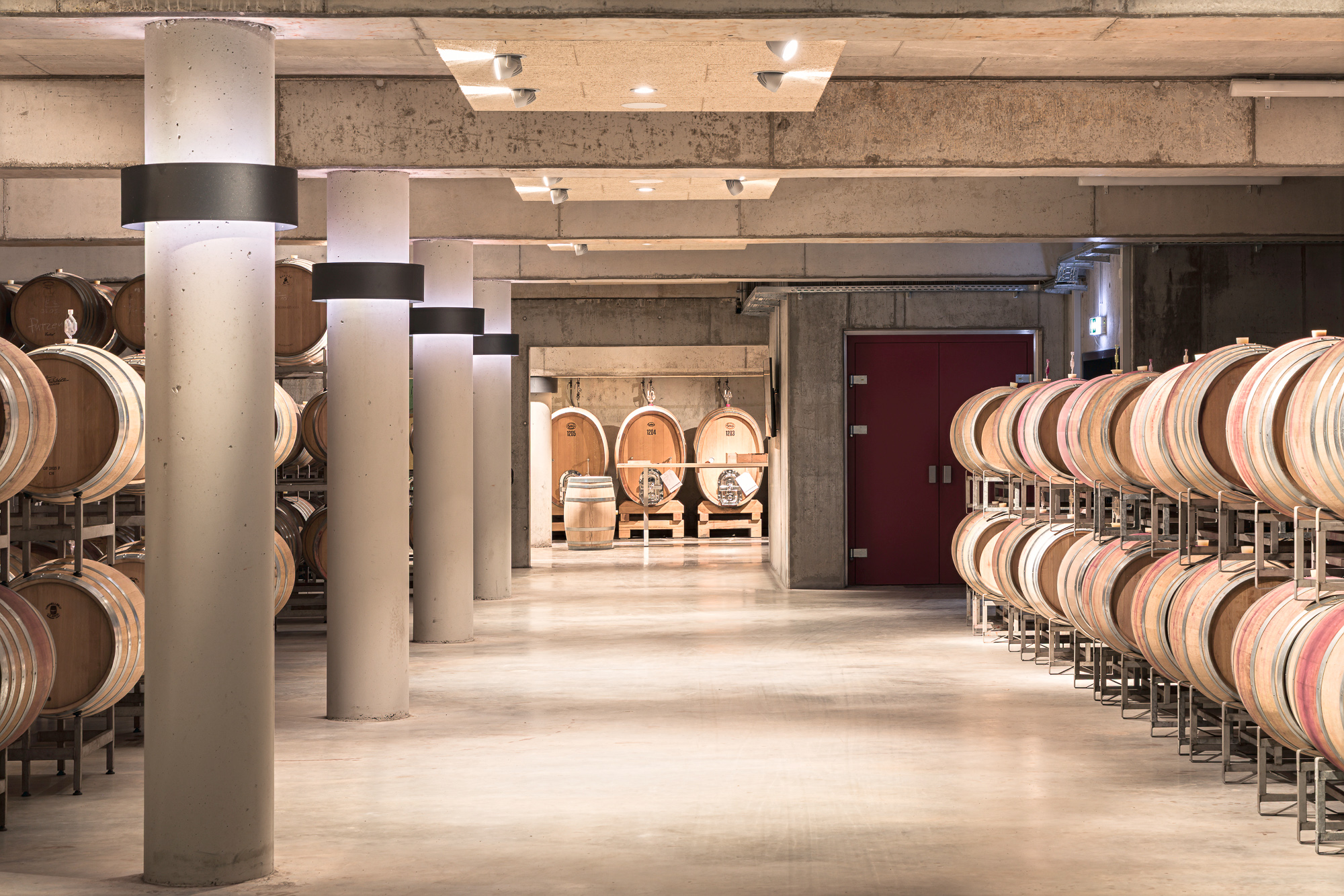 Erweiterung Weingut mit Vinothek, Hainfeld – Ansicht 15